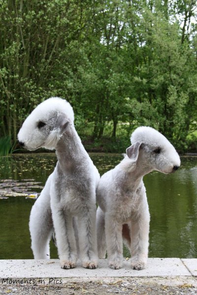 2010-05-01 Svet und Aveline (22).JPG